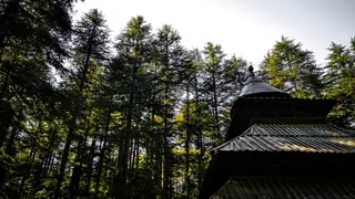 Hadimba Devi Temple