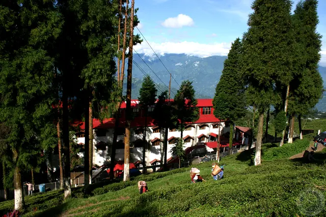 The red-roofed factory building of the Happy Valley Tea Estate among tall trees, with pickers in the tea bushes below and mountains behind
