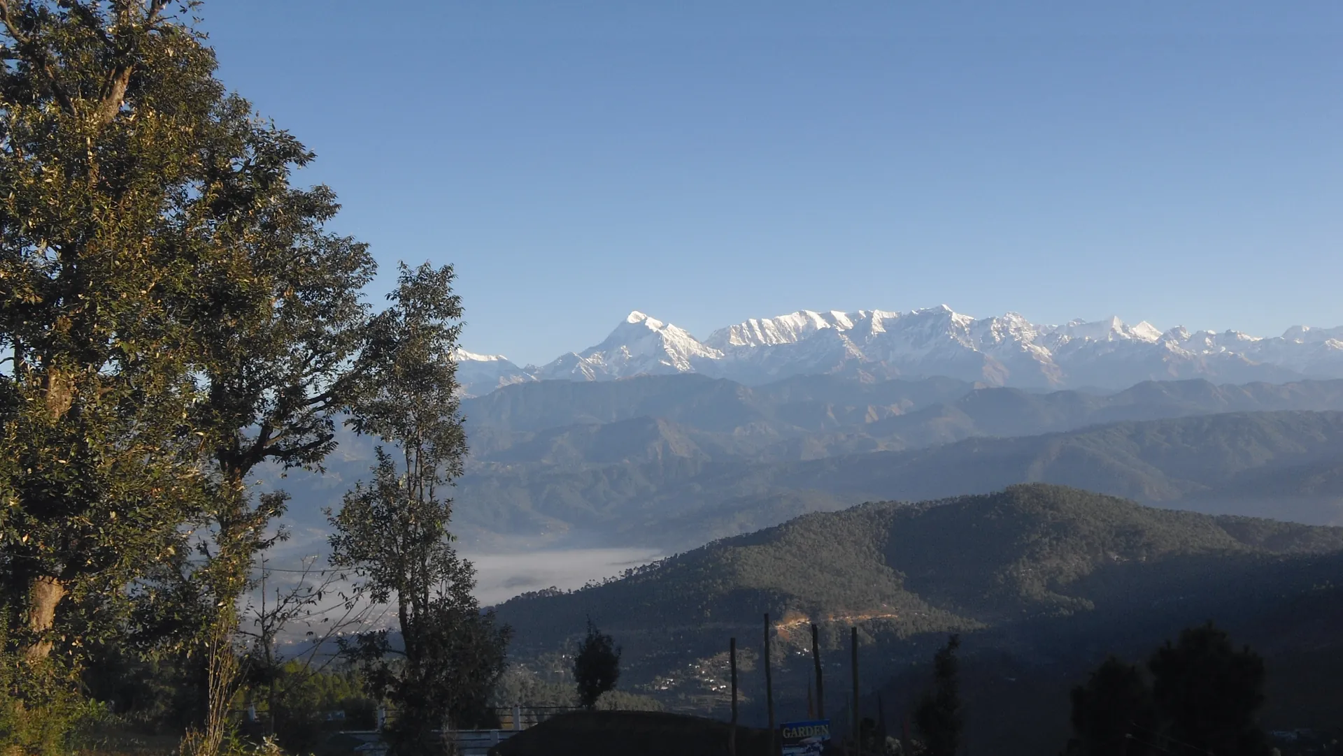 A line of snow peaks above wooded hills and valley seen from a pine ridge at Kausani on a clear day