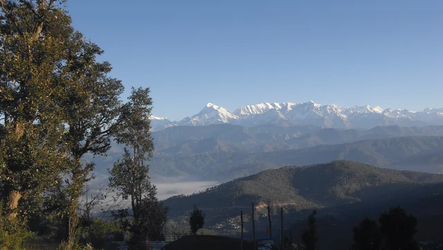 A line of snow peaks above wooded hills and valley seen from a pine ridge at Kausani on a clear day