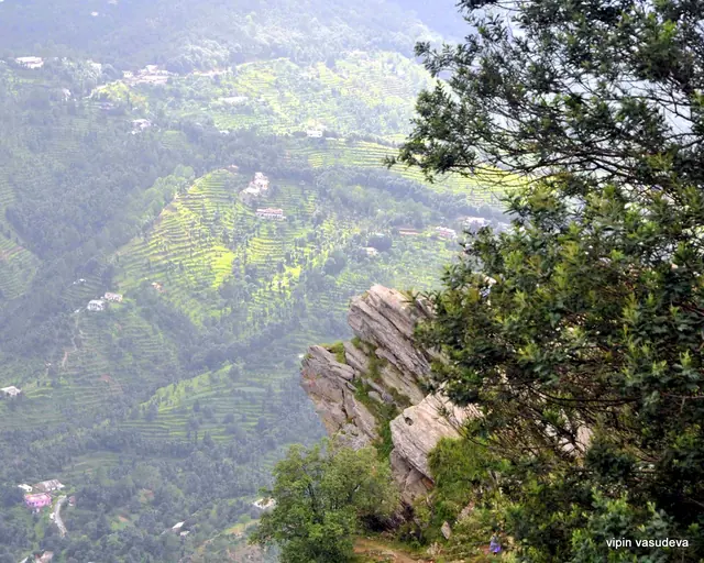 Terraced green slopes with scattered houses seen from a rocky ledge among trees above a Kumaon valley