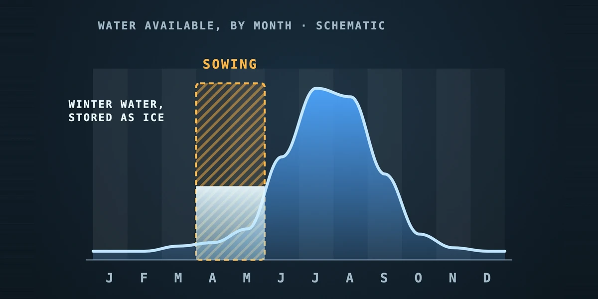 Chart of water by month: a low line through winter, a sowing window in spring, and a big summer melt; winter water stored as ice fills the sowing window