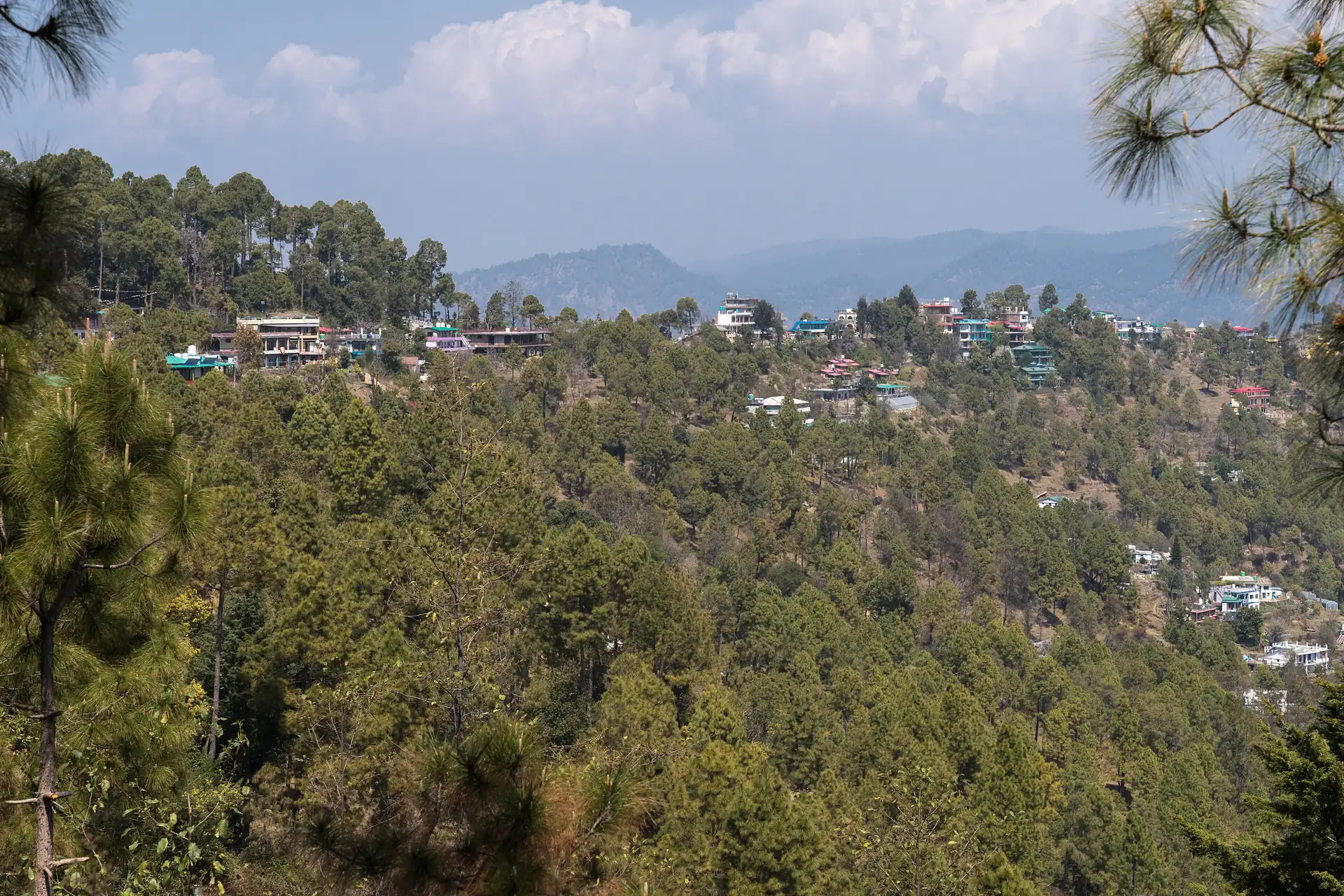 Kasar Devi village among pine trees on its ridge, with hazy hills stretching away behind it