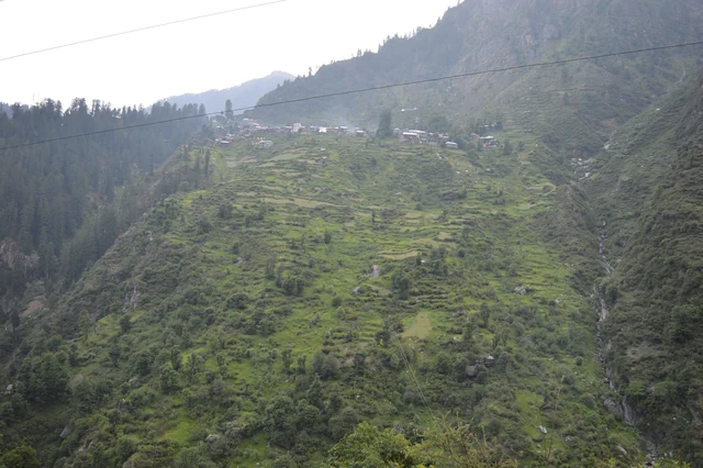 Malana village among terraced fields