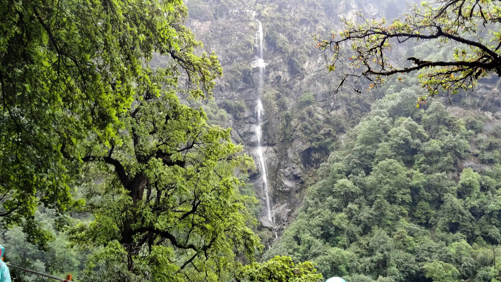 A tall thin waterfall on a forested hillside along the path between Gaurikund and Kedarnath