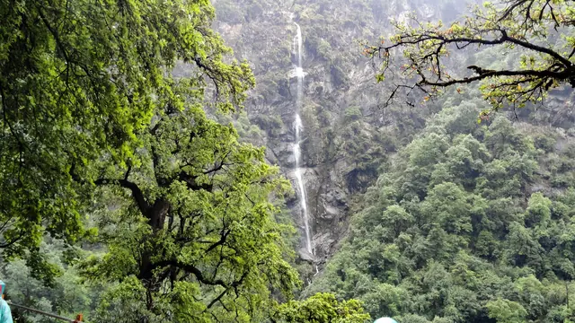 A tall thin waterfall on a forested hillside along the path between Gaurikund and Kedarnath