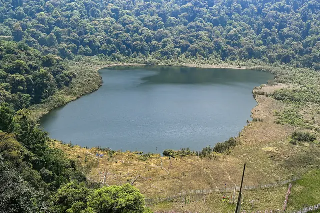 A small dark lake with a pale shore lying in a bowl of dense green forest, seen from a viewpoint above
