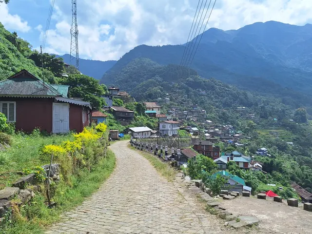 A stone-paved lane leading down into Khonoma village, with houses on terraces and forested hills behind