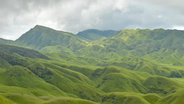 Rolling green hills of short bamboo grass in the Dzükou Valley under a grey sky