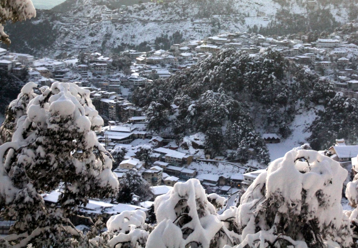 Snow-covered trees and rooftops on the slope of Mussoorie and Landour in winter