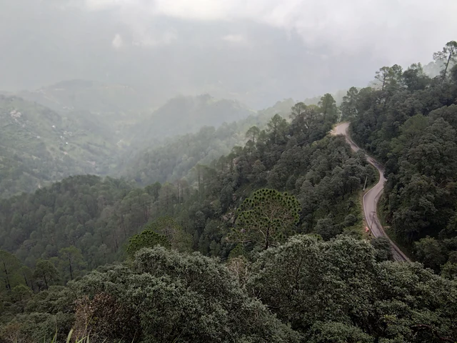 A hill road winding through dense green forest on a ridge, with monsoon cloud over the valleys beyond