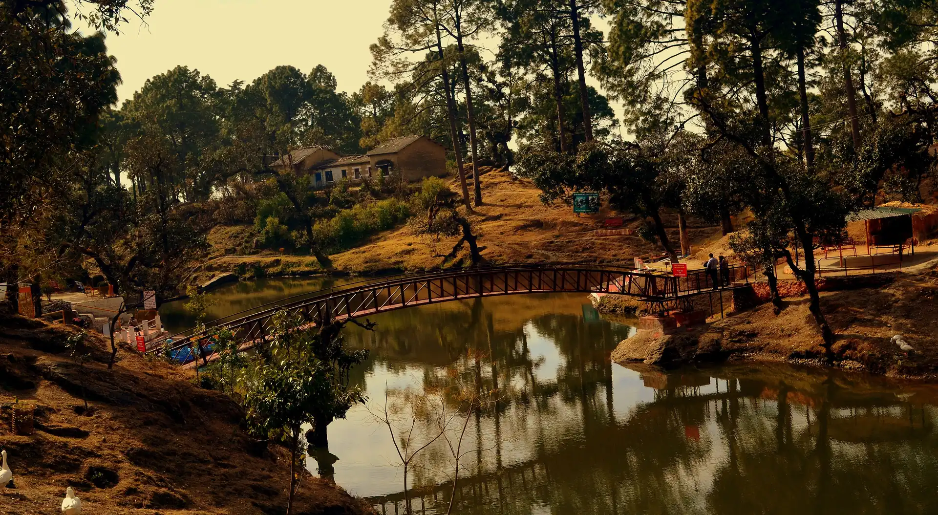 Bhulla Tal, a small green lake with a wooden footbridge, pine trees and cottages on the slope behind in evening light