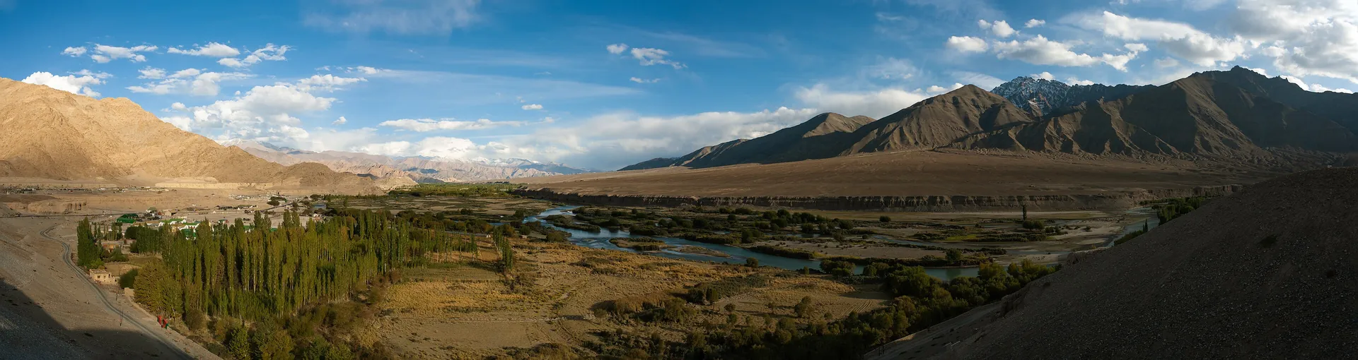 A wide green strip of poplars and fields along the Indus river between bare brown mountains near Leh