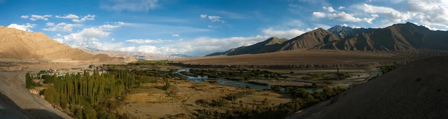 A wide green strip of poplars and fields along the Indus river between bare brown mountains near Leh