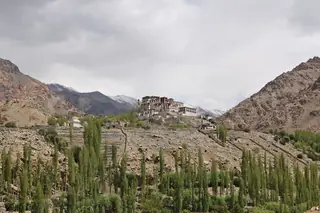 Likir Monastery, Ladakh — the eleventh-century gompa on its hill above the poplars