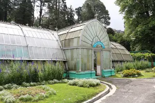 Lloyd's Botanical Garden, Darjeeling — the Himalayan plants below the town