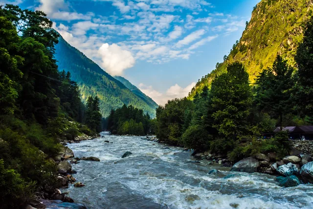 The Parvati river running through pine forest at Kasol