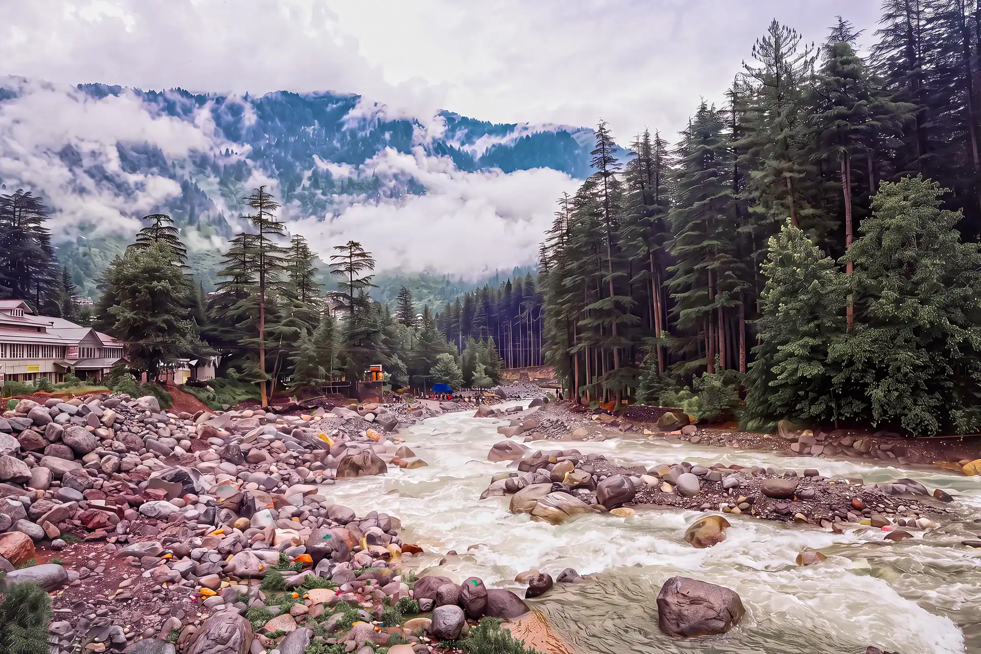 The Manalsu tumbling through deodars below Old Manali