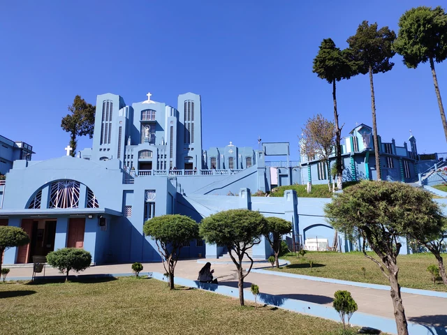 The blue and white Art Deco front of the cathedral seen over a lawn with clipped round trees under a clear blue sky