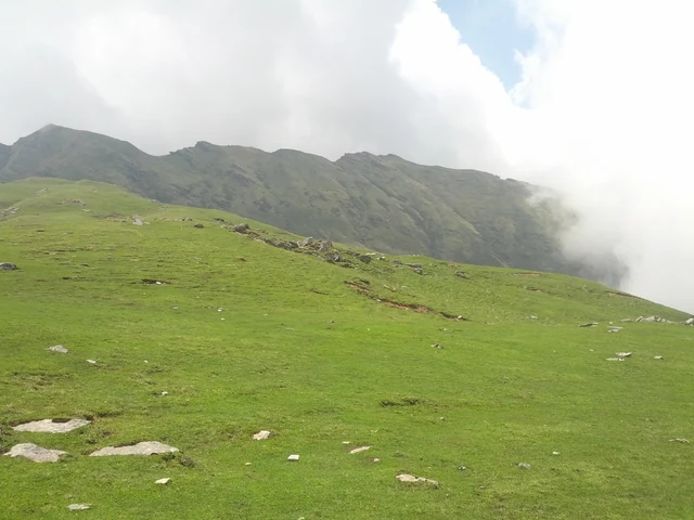 A green alpine meadow ridge under low cloud at Khaliya above Munsiyari