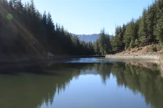 Forest and sky reflected in the still water of Tani Jubbar Lake