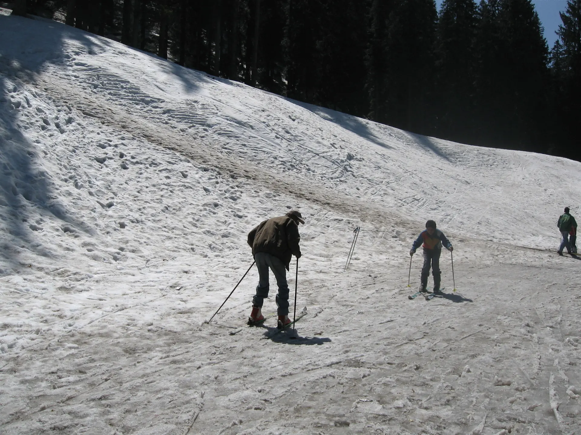 Skiers climbing a snow slope at Narkanda below a line of fir trees