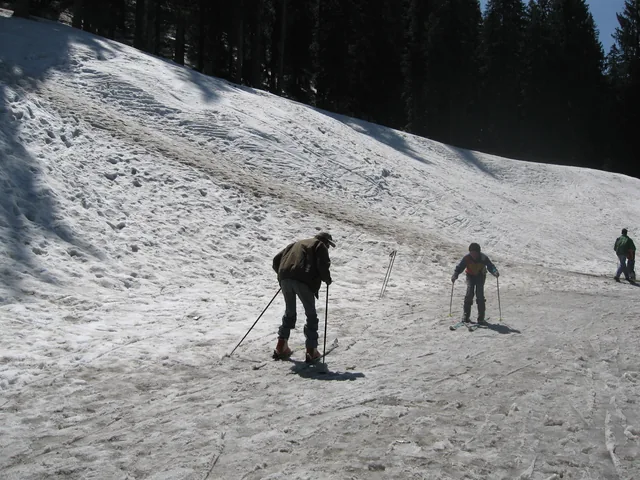 Skiers climbing a snow slope at Narkanda below a line of fir trees