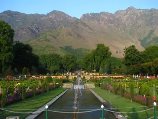 Nishat Bagh — the terraced Mughal garden of joy on Dal Lake