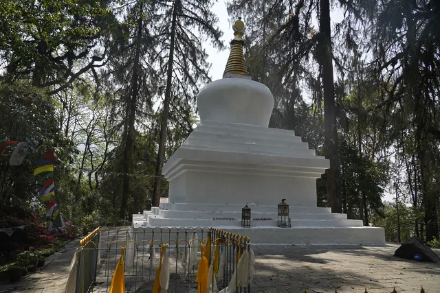 A white stepped stupa with a gilded spire beside a railing among tall dark conifers in dappled light