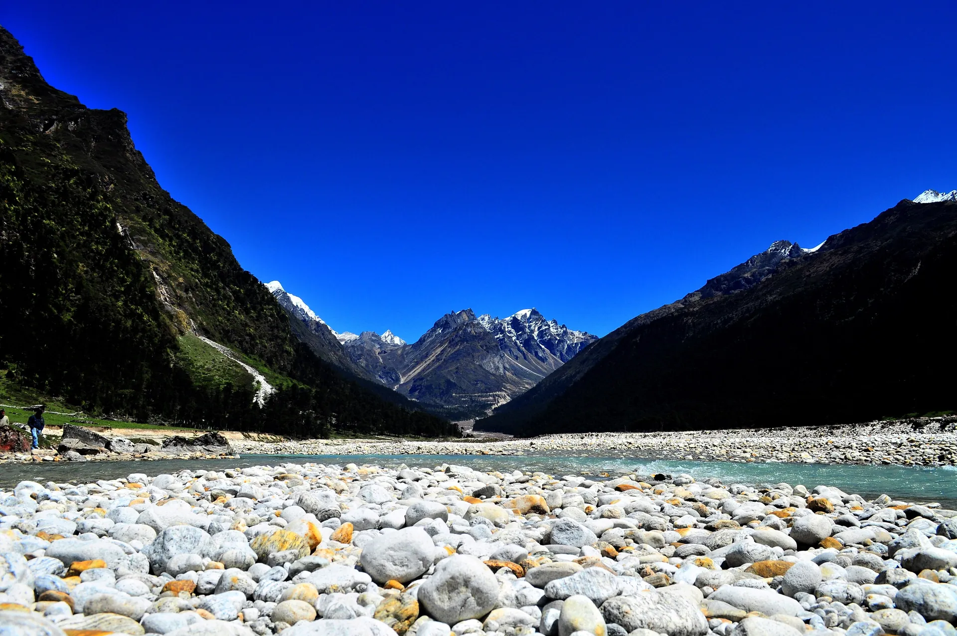 A wide stony river bed in the Yumthang valley between dark mountain slopes, with snow peaks at the head of the valley under a deep blue sky