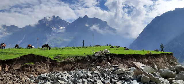 Horses grazing on a green meadow above a stony riverbed with snow mountains behind at Pahalgam