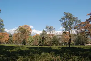 A park in Palampur with the Dhauladhar range beyond