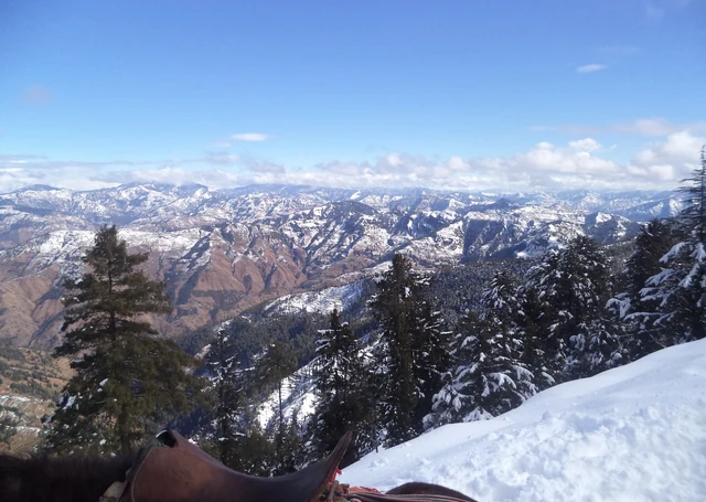 Snow ranges above forest in the Great Himalayan National Park