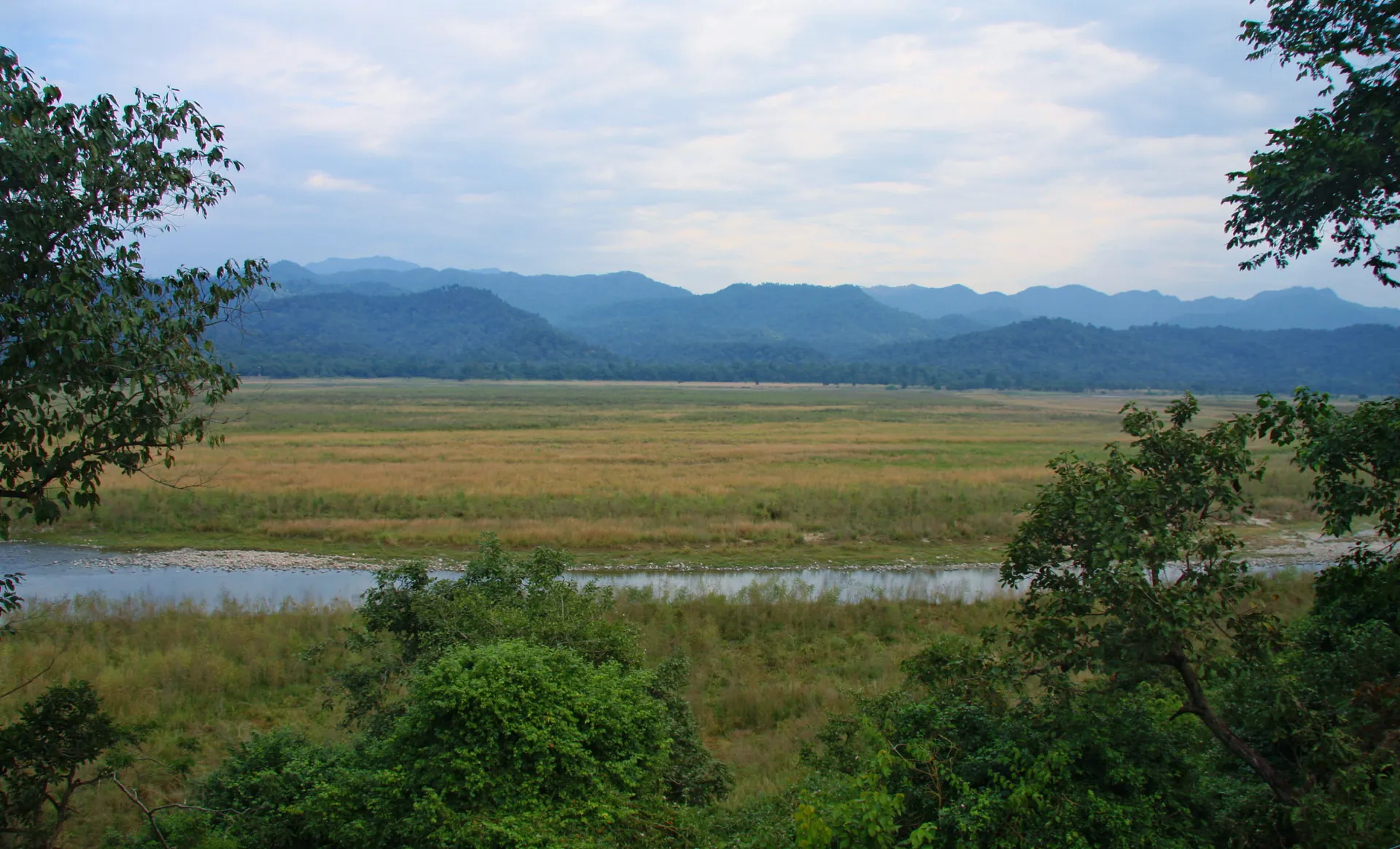 A wide grassy river valley in Jim Corbett National Park under a pale sky, with forested ridges and blue hills beyond