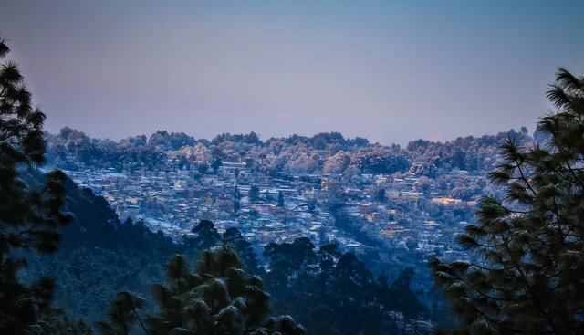 The rooftops of Ranikhet on a hillside seen between pine trees in the cold winter light