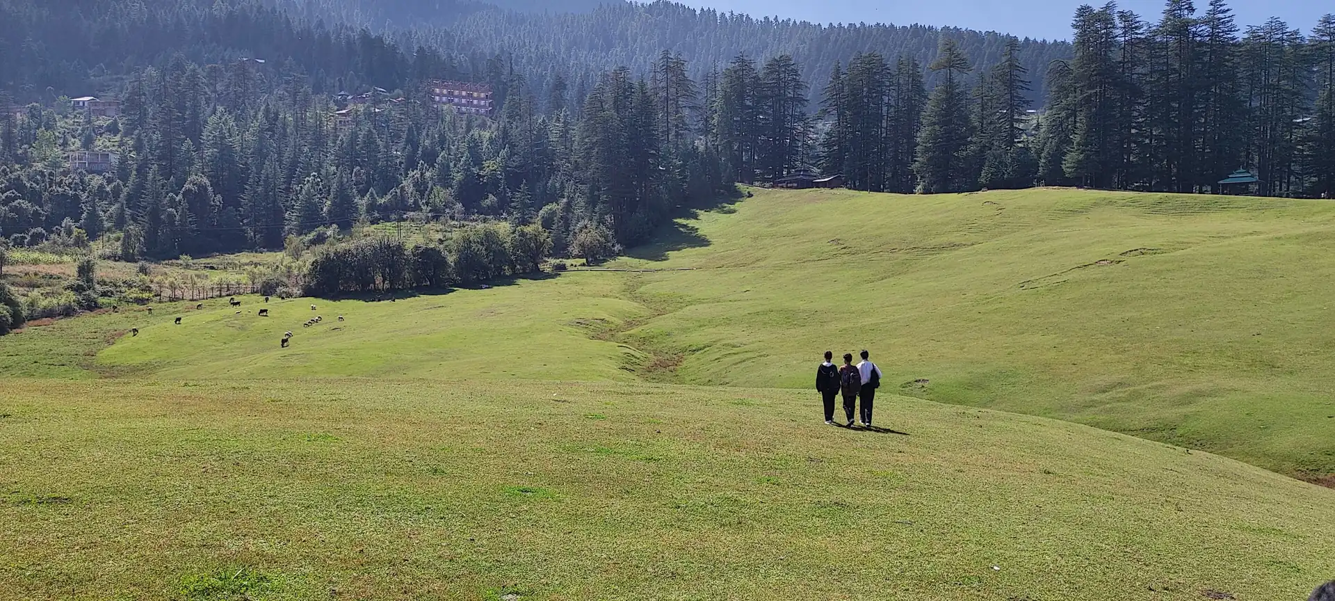 The wide flat meadow at Shangarh with forest behind it and people walking