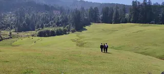 The wide flat meadow at Shangarh with forest behind it and people walking