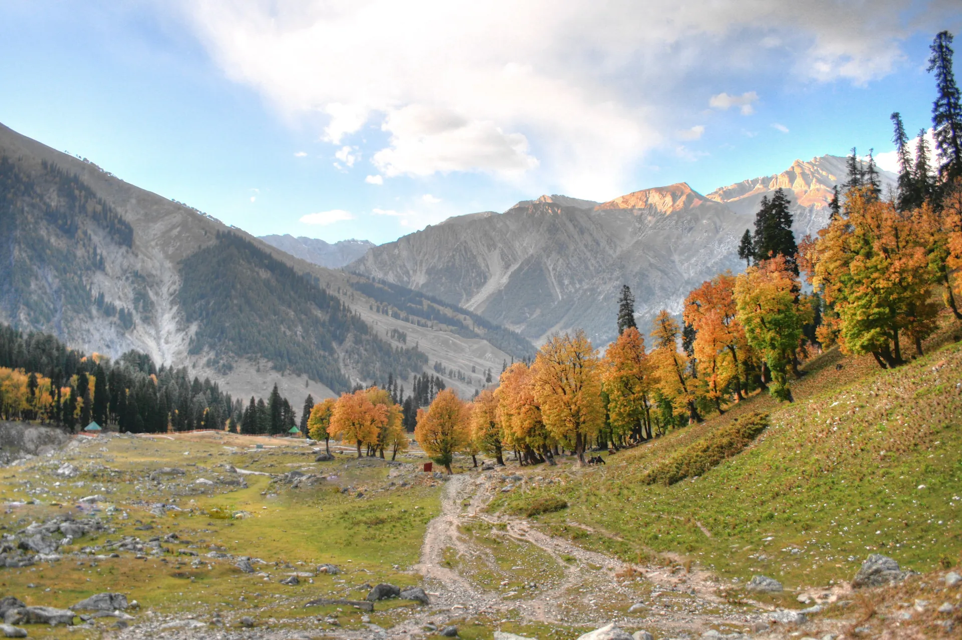 A valley path between orange autumn trees and hills under a bright sky at Sonamarg