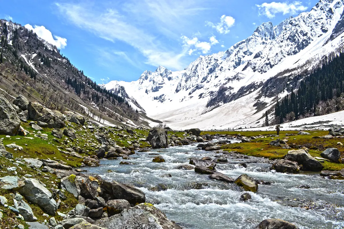 A rocky mountain stream running through a green valley beneath snow-covered peaks at Sonamarg