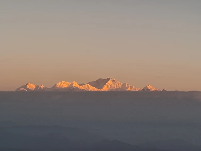 The snow summits of the Kangchenjunga range glowing pink-gold in first light above a bank of cloud, seen from Tiger Hill