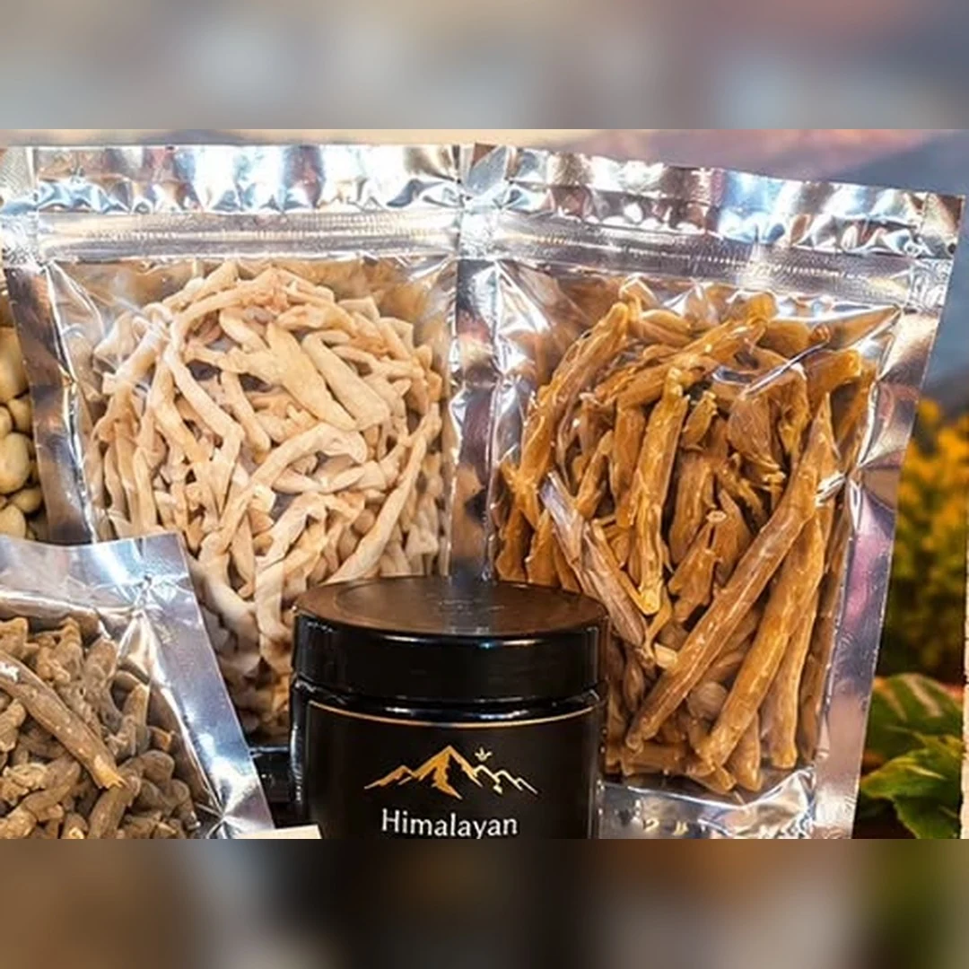 Winter Strength Kit — Shilajit & 4 Herbs